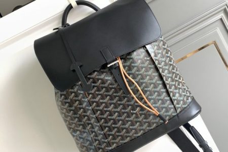 Goyard Backpack