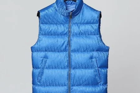 Dior Vest Blue