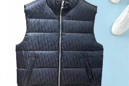 Dior Vest Down Jacket Nevy Blue