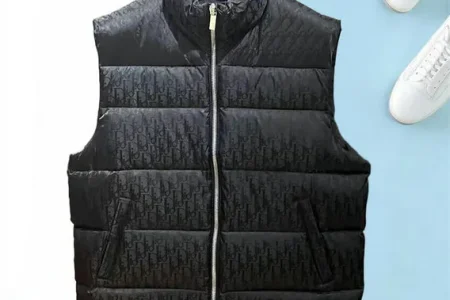 Dior Vest Down Jacket Black