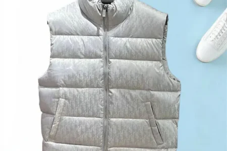 Dior Vest Down Jacket White