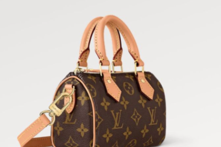 LV Bag